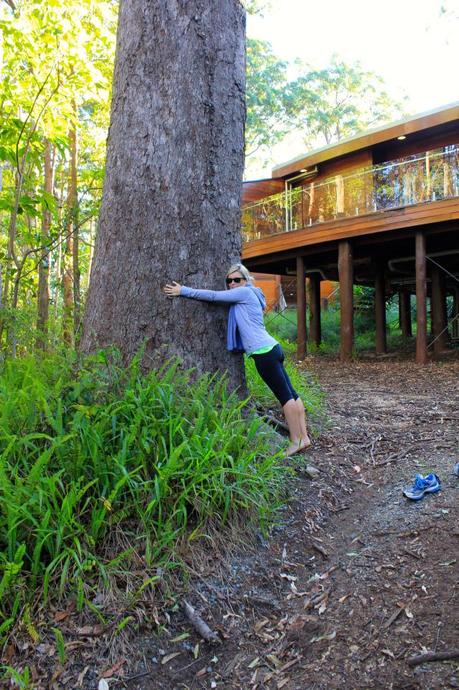 Hugging trees has health benefits. 