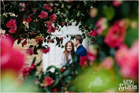 Beautiful engaged couple in the roses at the Yorkshire Sculpture Park orangery