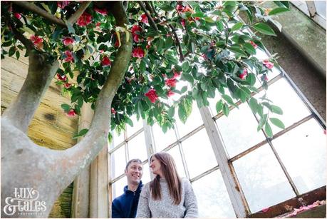 Engagement photography in the orangery at Yorkshire Sculpture Park