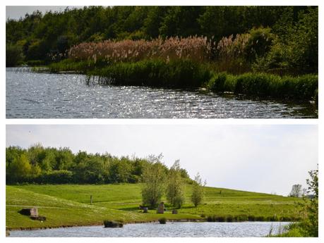 Herrington Country Park, Sunderland