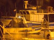 Shepherd Launches Operation Siracusa, Quickly Halts Illegal Fishing