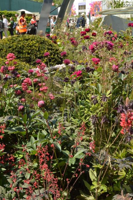 Chelsea Flower Show, episode one: the shell and the dinosaur