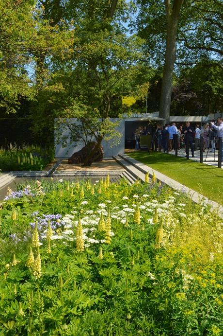 Chelsea Flower Show, episode one: the shell and the dinosaur