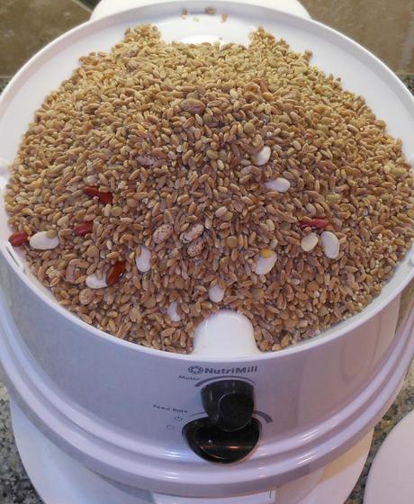 Next, I put in my Ezekiel mix.  See that lovely mix of wheat, rye, and beans?