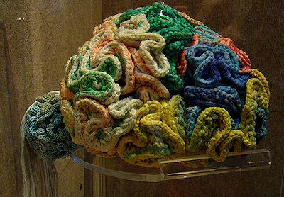 Museum Of Scientifically Accurate Fabric Brain Art
