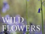 Review: Wild Flowers Sarah Raven