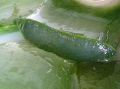 Incredible Benefits Aloe Vera Juice