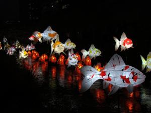 All Lit Up! Seoul Lantern Festival 2011