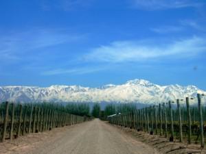 Mendoza.Cuyo  300x225 Expanish Guide to the Regions and Climates of Argentina