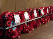 Remembrance Day: What Poppy Really Means