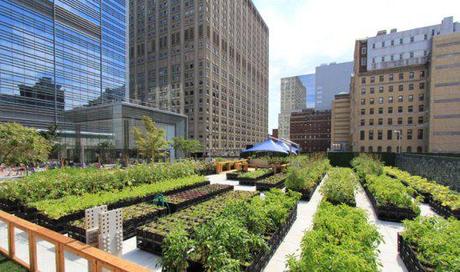 Riverpark Farm – Urban Farming in NYC