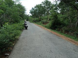 41) Mutathi - forest ride (Muthati): (31/8/2011)