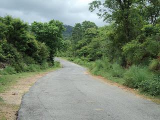 41) Mutathi - forest ride (Muthati): (31/8/2011)