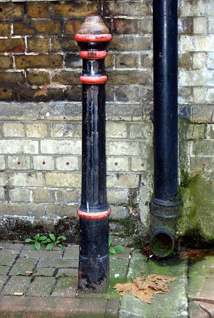 A Bollard in a Pear Tree...