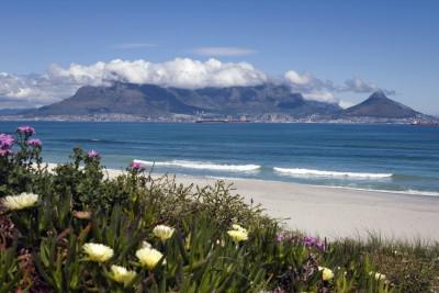 5 Activities You Can’t Miss In Cape Town