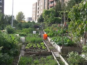 USDA Doles out 10 Grants for People’s Gardens