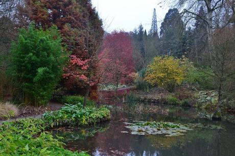 Sir Harold Hillier Gardens and Plants of Current Interest