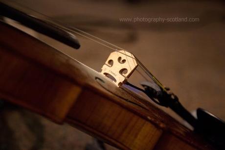 Event photo - one fiddle on stage