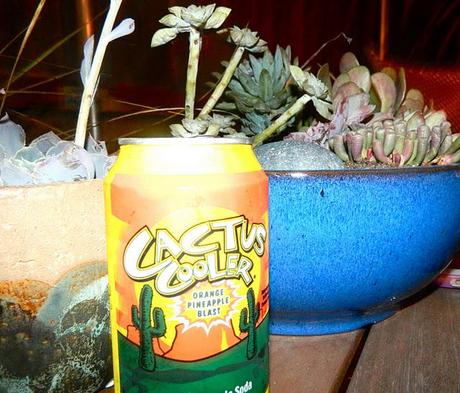 cactus cooler