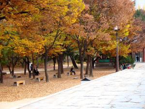 Deoksugung Draped in the Colours of Autumn