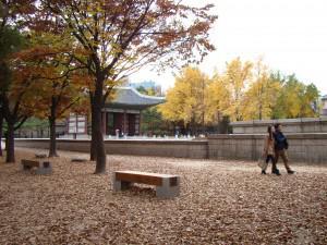 Deoksugung Draped in the Colours of Autumn