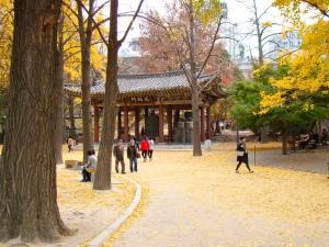 Deoksugung Draped in the Colours of Autumn