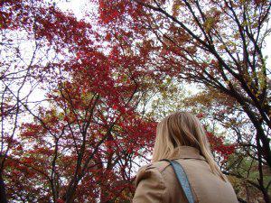 Deoksugung Draped in the Colours of Autumn