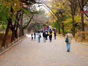 Deoksugung Draped in the Colours of Autumn