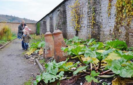 Tyntesfield: Digging deep and winning the English Heritage Angels Award