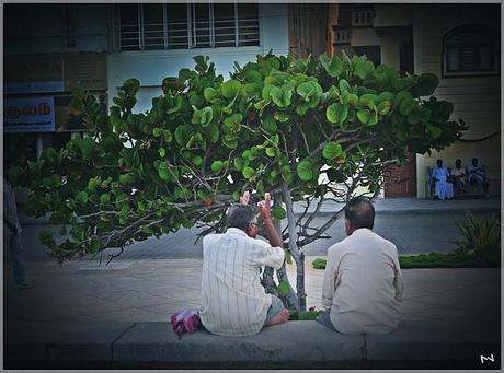 Serene PONDICHERRY