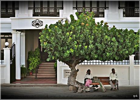 Serene PONDICHERRY