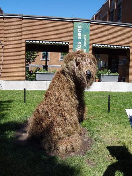 Making the World Smile - Mali the Sheepdog, at the Montreal Botanical Garden