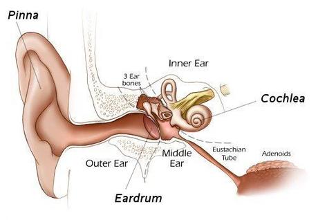 Testing 1, 2 , 3 : Can You Hear Me? Baro-Traumatic Otitis Media !