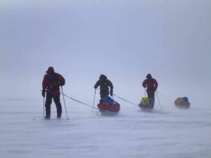 Antarctica 2011: More Of The Same