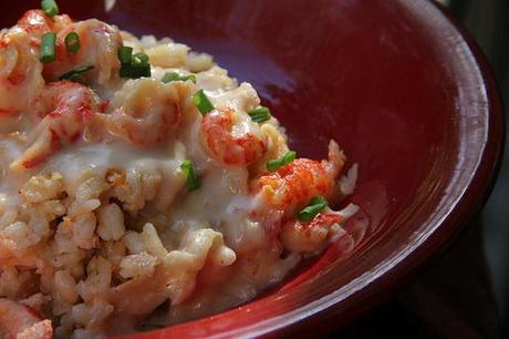 Delicious Portabella Mushroom Risotto