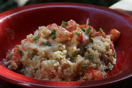 Delicious Portabella Mushroom Risotto