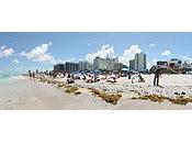 English Course Miami Suitable Excellent Learning