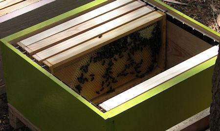 A Quick Guide To Starting A Beehive