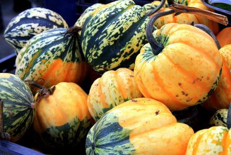 At The Ferry Building Farmer’s Market