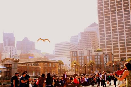 At The Ferry Building Farmer’s Market