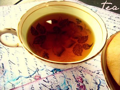 Organic Tea! Tea Forte Tea Party