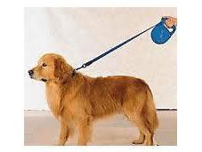Retractable Leashes: Good