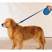 Retractable Leashes: The Good and The Bad