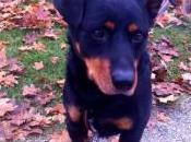 Being Happy When Living Abroad