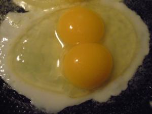 Lesson 446 – Double yolked eggs and other oddities