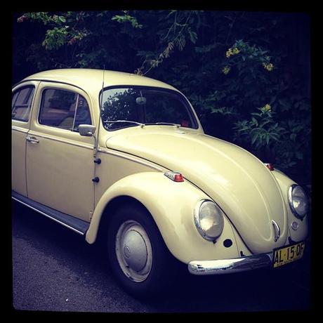 Instagram Diary Instagram Diary