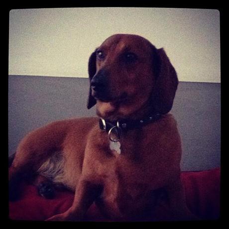 Instagram Diary Instagram Diary