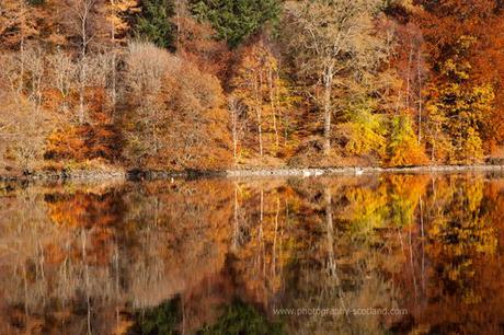 Landscape photo - golden autumnal reflections in Loch Tummel near Pitlochry, Scotland