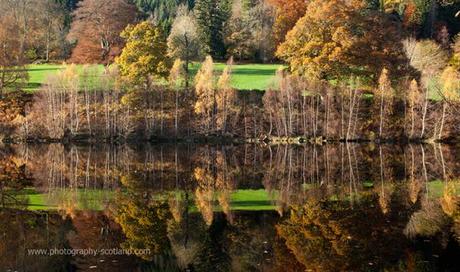 Landscape photo - trees reflected in Loch Tummel, Perthshire, Scotland