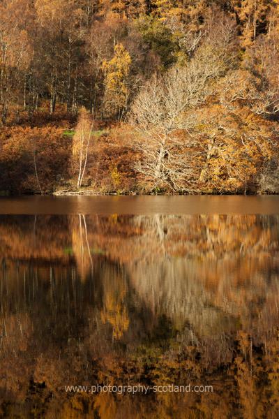 Landscape photo - brown and gold autumn trees on the shores of Loch Tummel, Perthshire, Scotland
